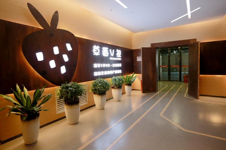 草莓V视与斯辉庭科技 数字内容生态中的技术赋能样本